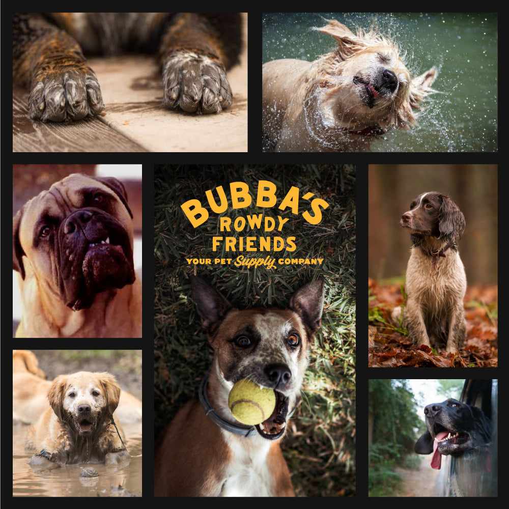 Bubba's Rowdy Friends Pet Products For Your Dog, Cat, Puppy, or Kitten – Bubba's  Rowdy Friends Pet Supply Company